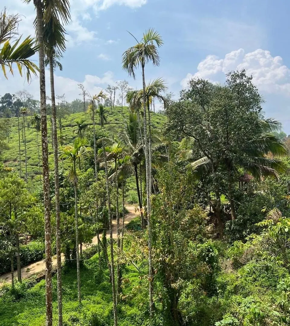 Vila Mynakam - A Peaceful Escape Vythiri